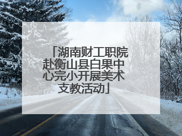 湖南财工职院赴衡山县白果中心完小开展美术支教活动