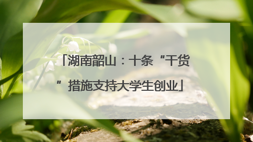 湖南韶山：十条“干货”措施支持大学生创业