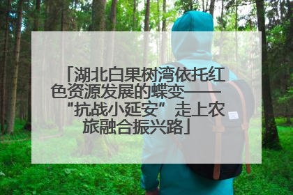 湖北白果树湾依托红色资源发展的蝶变——“抗战小延安”走上农旅融合振兴路