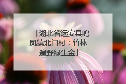 湖北省远安县鸣凤镇北门村：竹林遍野绿生金