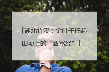 湖北竹溪：金叶子托起田埂上的“致富经”