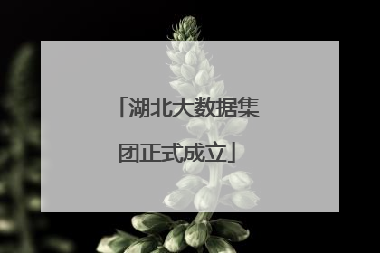 湖北大数据集团正式成立