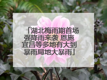 湖北梅雨期首场强降雨来袭 恩施宜昌等多地有大到暴雨局地大暴雨