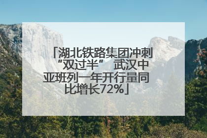 湖北铁路集团冲刺“双过半” 武汉中亚班列一年开行量同比增长72%