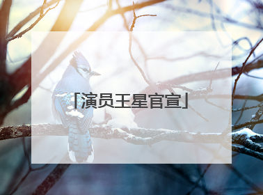 演员王星官宣