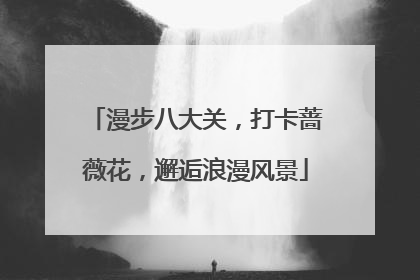 漫步八大关，打卡蔷薇花，邂逅浪漫风景