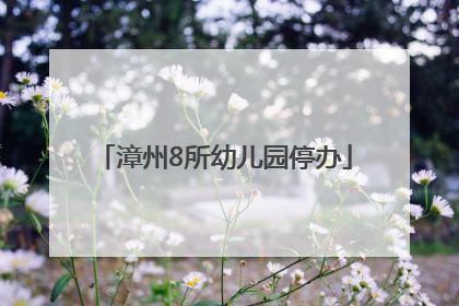 漳州8所幼儿园停办