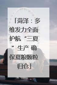 菏泽：多维发力全面护航“三夏”生产 确保夏粮颗粒归仓