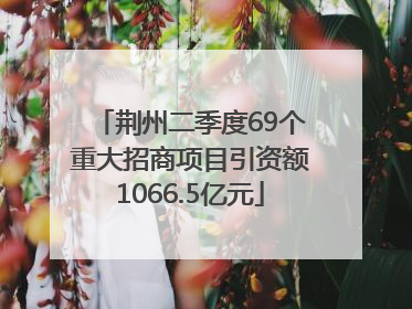 荆州二季度69个重大招商项目引资额1066.5亿元