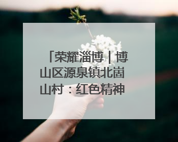 荣耀淄博｜博山区源泉镇北崮山村：红色精神强根基 文明新风润山乡
