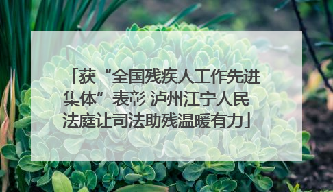 获“全国残疾人工作先进集体”表彰 泸州江宁人民法庭让司法助残温暖有力