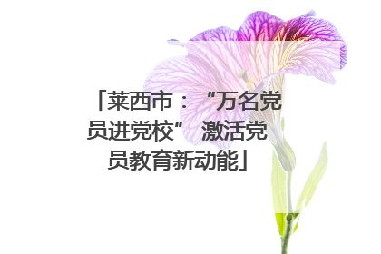 莱西市：“万名党员进党校” 激活党员教育新动能