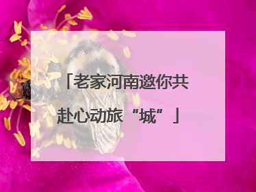 老家河南邀你共赴心动旅“城”