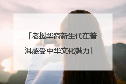 老挝华裔新生代在普洱感受中华文化魅力
