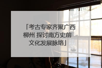 考古专家齐聚广西柳州 探讨南方史前文化发展脉络