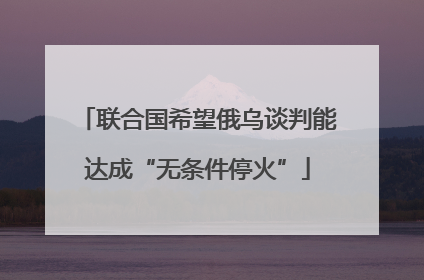 联合国希望俄乌谈判能达成“无条件停火”