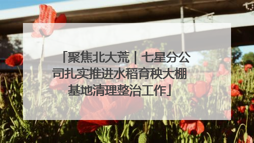 聚焦北大荒｜七星分公司扎实推进水稻育秧大棚基地清理整治工作