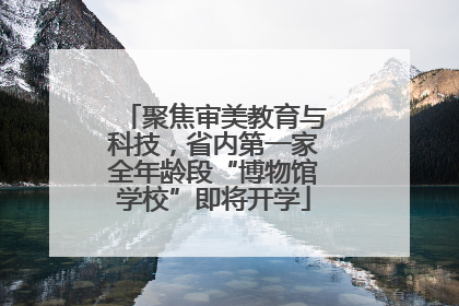 聚焦审美教育与科技，省内第一家全年龄段“博物馆学校”即将开学