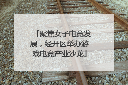 聚焦女子电竞发展，经开区举办游戏电竞产业沙龙
