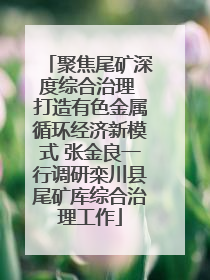 聚焦尾矿深度综合治理 打造有色金属循环经济新模式 张金良一行调研栾川县尾矿库综合治理工作