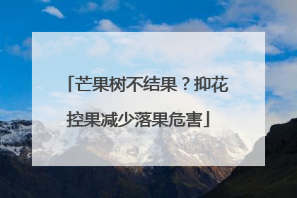 芒果树不结果？抑花控果减少落果危害