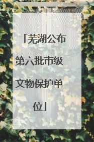 芜湖公布第六批市级文物保护单位