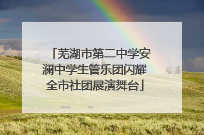 芜湖市第二中学安澜中学生管乐团闪耀全市社团展演舞台