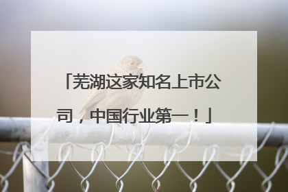 芜湖这家知名上市公司，中国行业第一！