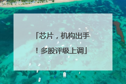 芯片，机构出手！多股评级上调