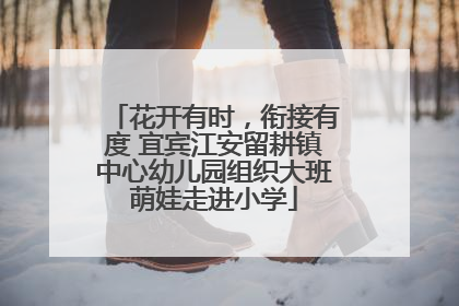 花开有时，衔接有度 宜宾江安留耕镇中心幼儿园组织大班萌娃走进小学