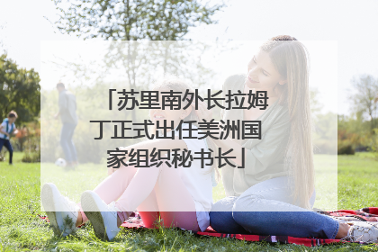 苏里南外长拉姆丁正式出任美洲国家组织秘书长