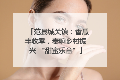 范县城关镇：香瓜丰收季，奏响乡村振兴 “甜蜜乐章”