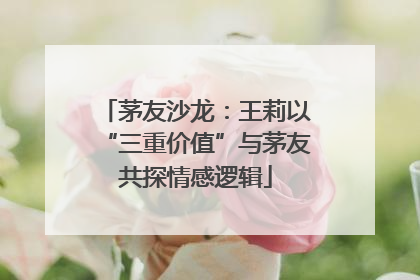 茅友沙龙：王莉以“三重价值”与茅友共探情感逻辑