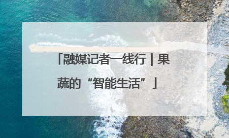 融媒记者一线行｜果蔬的“智能生活”