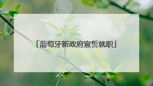 葡萄牙新政府宣誓就职