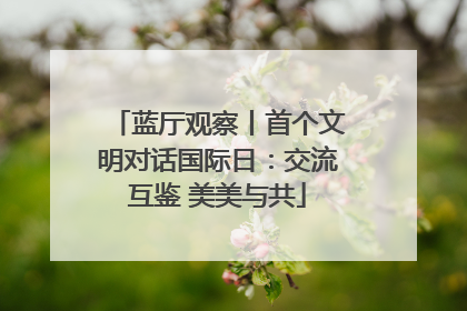 蓝厅观察丨首个文明对话国际日：交流互鉴 美美与共