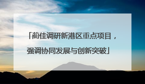 蔺佳调研新港区重点项目，强调协同发展与创新突破
