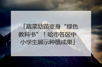 蔬菜幼苗变身“绿色教科书”！哈市各区中小学生展示种植成果