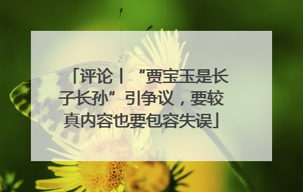 评论丨“贾宝玉是长子长孙”引争议，要较真内容也要包容失误