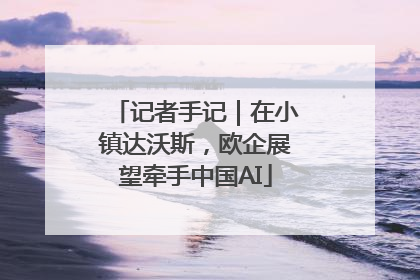 记者手记｜在小镇达沃斯，欧企展望牵手中国AI