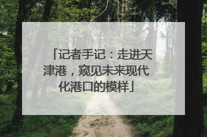 记者手记：走进天津港，窥见未来现代化港口的模样