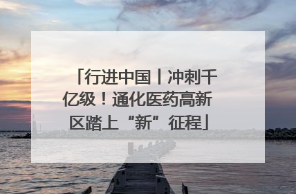 行进中国丨冲刺千亿级！通化医药高新区踏上“新”征程