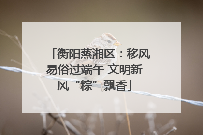 衡阳蒸湘区：移风易俗过端午 文明新风“粽”飘香