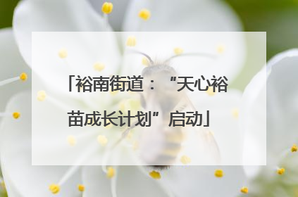 裕南街道：“天心裕苗成长计划”启动