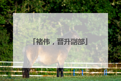 褚伟，晋升副部