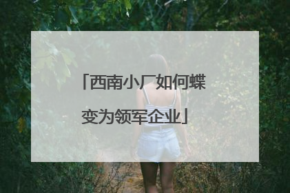 西南小厂如何蝶变为领军企业