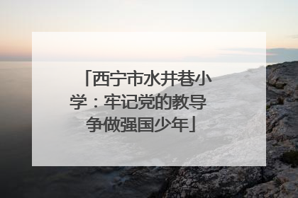 西宁市水井巷小学：牢记党的教导 争做强国少年