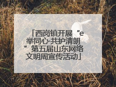 西岗镇开展“e举同心·共护清朗”第五届山东网络文明周宣传活动