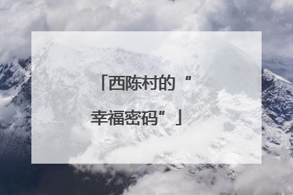 西陈村的“幸福密码”