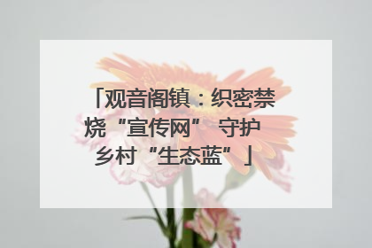 观音阁镇：织密禁烧“宣传网” 守护乡村“生态蓝”